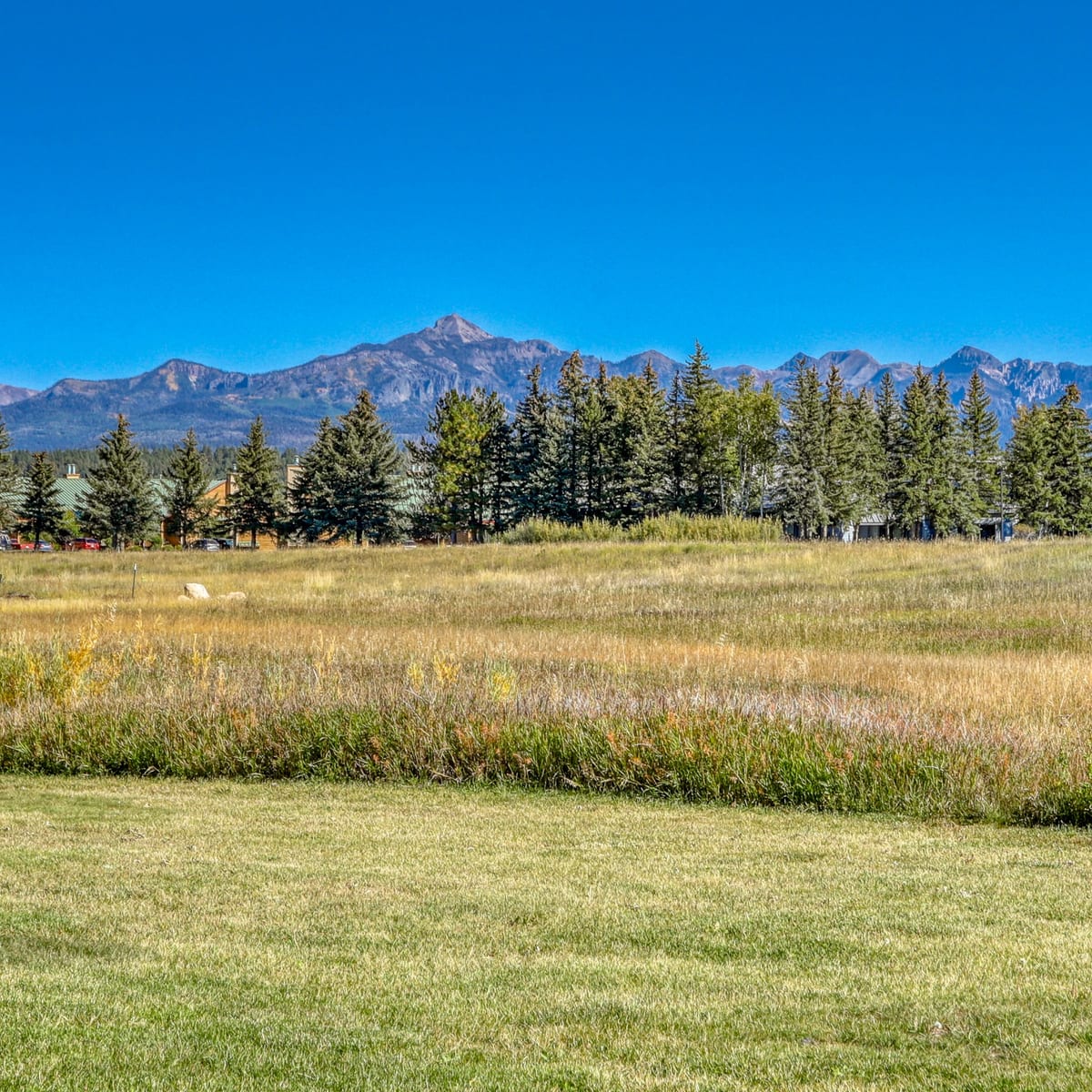 San Juan Mountains above a Pagosa Springs meadow